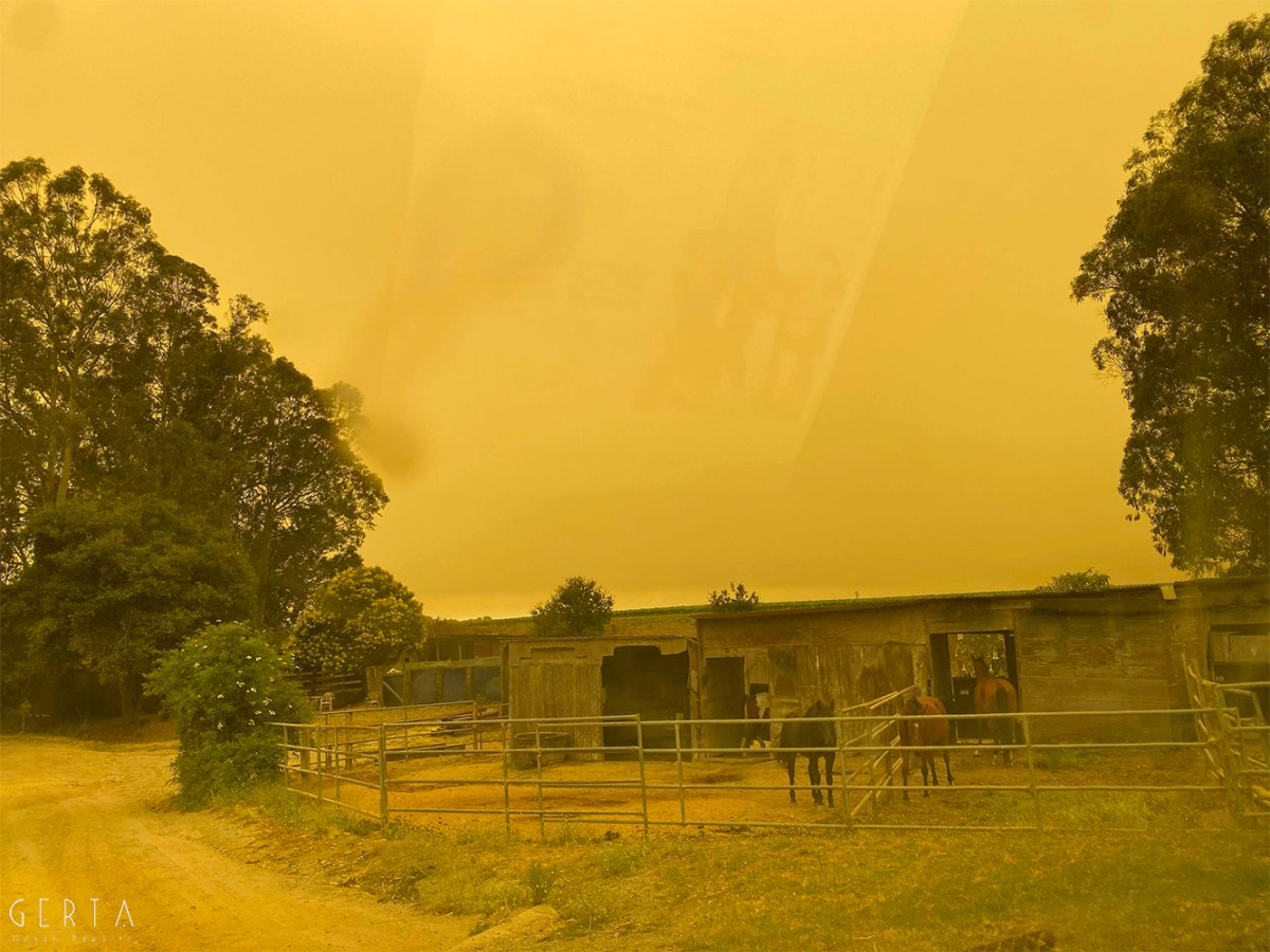 SANTA CRUZ, CALIFORNIA: CLIMATE REFUGEES&nbsp;(Eng/Ita)